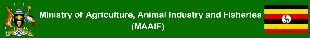 maaif